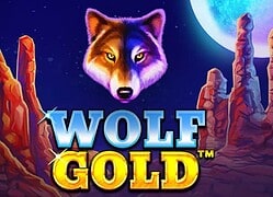 Wolf G Magic Win Casino Game