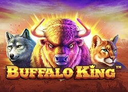 Buffalo King Magic Win Casino Slot