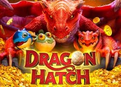 Dragon Hatch Magic Win Casino Game