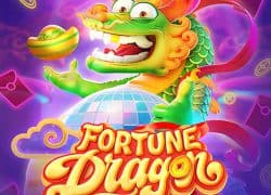 Fortune Dragon Magic Win Casino Game