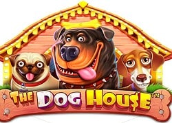 Dog House Magic Win Casino Game